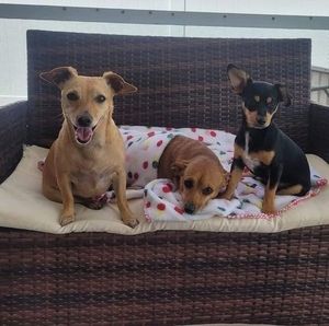 Meet your Posher, Nicole